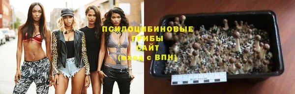 дживик Армянск