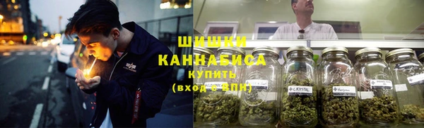 ПСИЛОЦИБИНОВЫЕ ГРИБЫ Аркадак