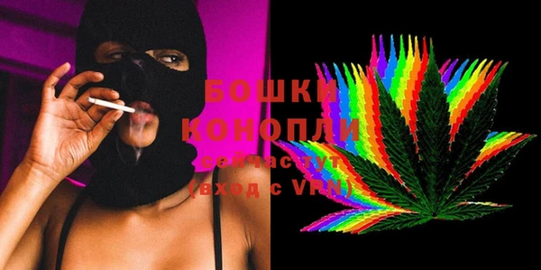 ПСИЛОЦИБИНОВЫЕ ГРИБЫ Аркадак