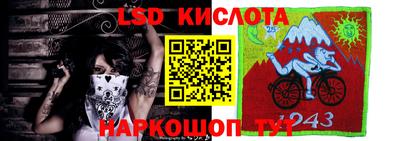 a pvp Бийск