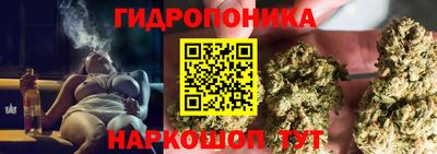 скорость Берёзовский