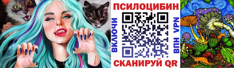 Галлюциногенные грибы MAGIC MUSHROOMS  закладка  Глазов 