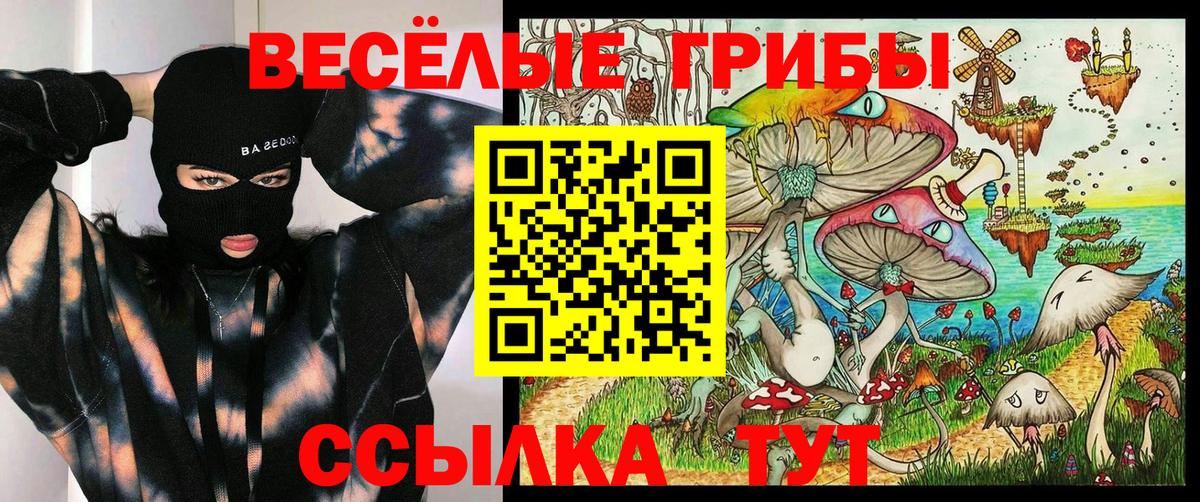 Галлюциногенные грибы мицелий  Вход с VPN  Глазов 